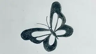 How to draw butterfly with pencil