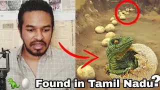 Dinosaur Eggs Found in Tamil Nadu? | Madan Gowri | MG