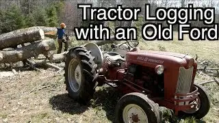 Tractor Logging a Giant Pine