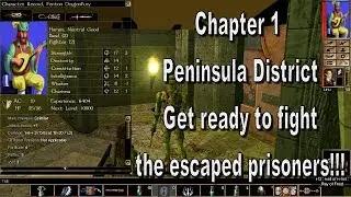 NeverWinter Nights Enhanced Edition Chapter 1 Peninsula District