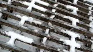 Cattle grid (3)