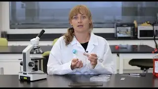 Healthy Curiosity - We're curious about cells!