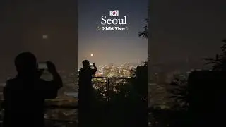 SEOUL - night view ✨❤️🦋 #southkorea #seoul #viral #trending #aesthetic