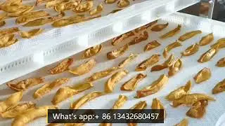 Twesix Mango Heat Pump Dehydrator with Anti-corrosion