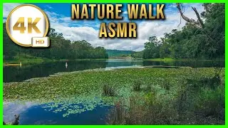 Nature ASMR for Sleep & Relaxation | Enoggera Reserve Forest Walk (No Talking POV)