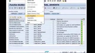 Business Application Programming Interface tutorials Part 6