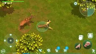 Live or Die: survival Gameplay