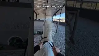 POV: you&rsquo;re riding Love #equestrian #showjumping #pov #asthetic #cute #horse