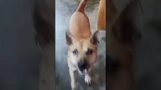 Curious Detective : What&rsquo;s Hiding There?