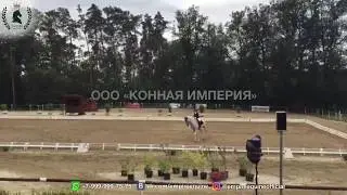 е129