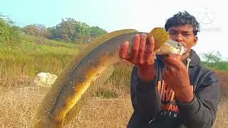 Best snikhed fishing for Gujarat India fishing videos fishing reels monster fish  fish hunting 
