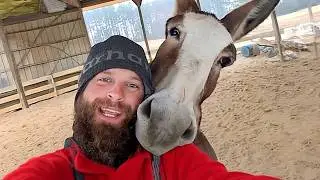 When Animals Turned Their Love Toward the Human ❤️