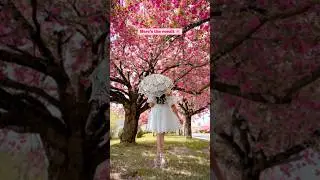 How to pose better with trees. #posing #howtopose #posesideas #poses #posingtips #shorts #viralvideo