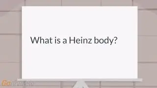 What is a Heinz body?