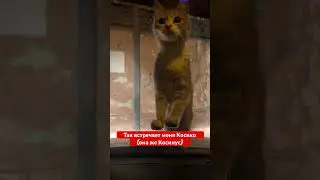 Так встречает меня Косико (она же Косинус). Выпрыгнула со двора, залезла на крышу машины. #cat #кот