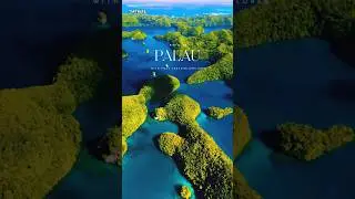Palau Travel Edit 🌊🌴 | Why This Place Feels Unreal