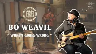 BO WEAVIL SEXTET // What's Going Wrong