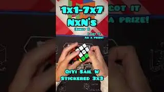 My Entire Cube Collection, ONE CUBE AT A TIME! (Cube 19/226) 🤯🔥 | QiYi Sail W 3x3 | #shorts #viral