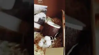 Осенняя коллекция подарочный наборов от My Hygge Box