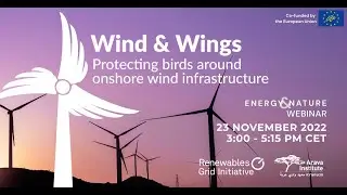 Wind & Wings: Protecting birds around onshore wind infrastructure