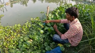 Amazing Hook Fishing Video |Traditional Hook Fishing in Village Smart Boy Fishing With Hook in River
