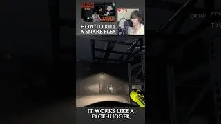 How To Kill A Snare Flea - Lethal Company