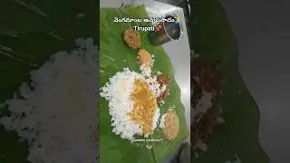 వెంగమాంబ అన్నప్రసాదం🙏#tirupati #govinda #tirumala #balaji #food #annadhanam #shorts #tirupatibalaji