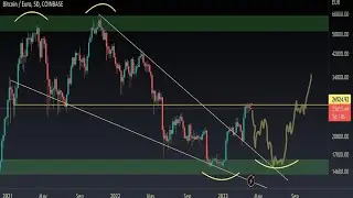 Market Crash 📊☠️ Nov 16,.  Live Trading.  #btcusd #forex #forextrading #xauusd 
