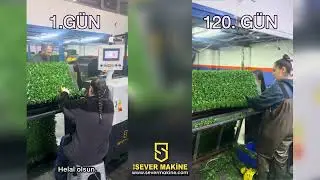 SVR SERVO SPINNER / &Ccedil;im &Ccedil;it &Uuml;retiminde Profesyonelliğe Yolculuk! 120 G&uuml;nde &Ccedil;im &Ccedil;it Ustalığı 