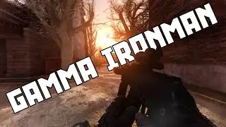 STORY PROGRESSION - STALKER GAMMA IRONMAN