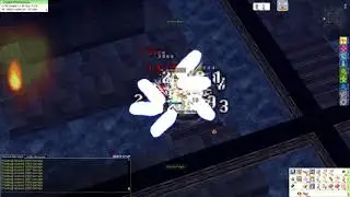 ROPH EXE: Knight vs Golden Thief Bug MVP (Valkyrie server)