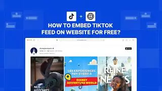 How to embed TikTok feed on website?