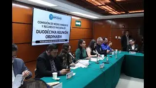 EN VIVO / Reunión Ordinaria de la Comisión de Medio Ambiente y Recursos Naturales