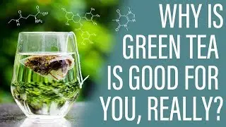 Why is Green Tea Good For You Really? (Worth the hype?)