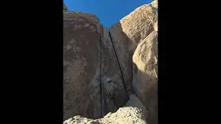 Joshua Tree - Right Saw Dust Crack, Jacob