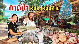 กาดป่าหนองหมื่นถ่านจังหวัดร้อยเอ็ดเห็ดแปลกแมงป่องจักจั่นปลากบหลากหลาย #สัมผัสแดนอีสาน4