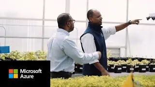 Land O&rsquo;Lakes использует Azure Data Manager для сельского хозяйства для поддержки эффективного земледелия