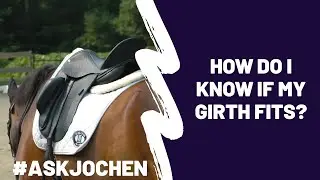 How Do I Know If My Girth Fits? | #ASKJochen | Livestream Q&A Excerpt