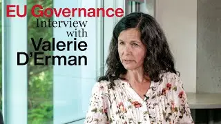 EU Trade Policy: Interview with Valerie D'Erman