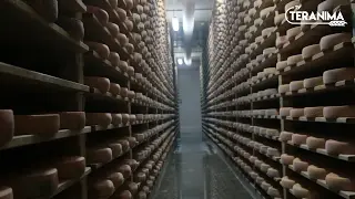 Comment affiner du fromage ?