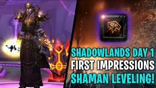 SHADOWLANDS LAUNCH WITH MIKEFIELD AND SIS | Shaman tonight! | World of Warcraft: Shadowlands!