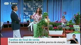 Tarefas e Plantas de Outono - Teresa Chambel n'A Praça da RTP