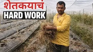 आज फाइनली मिर्ची बाहेर कांडली खूप मजा अली