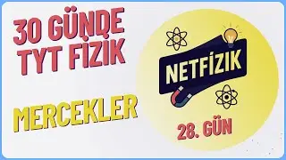 28.GÜN - MERCEKLER