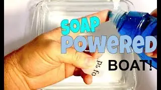 How to make a Soap Powered Boat Experiment (Marangoni effect)