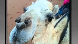 Best Tour Morocco video  Oct 7th 2015