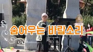 숨어우는 바람소리