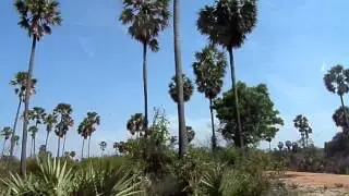 #Palmyrah #North #PKamalendran #localtravel #awayhome #vacation