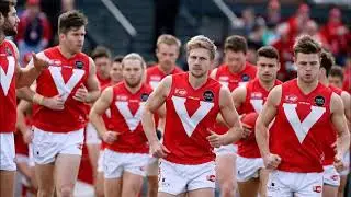North Adelaide Roosters (NEW)