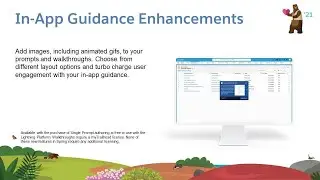 Apps: Lightning Experience: In-App Guidance Enhancements